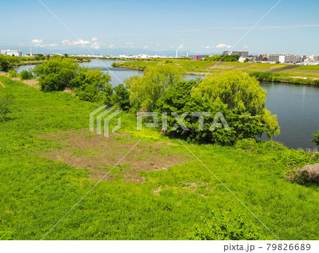 東京板橋・荒川中流域 79826689