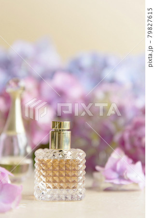 Perfume bottle and live pink and blue hydrangea flower background. Beauty, wellness concept Perfume bottle and live pink and blue hydrangea flower background. Beauty, wellness concept 79827615