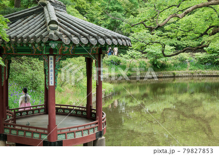 池 ガーデン 庭園 79827853