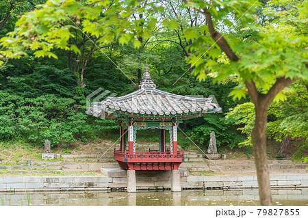 ガーデン 庭園 昌徳宮 79827855