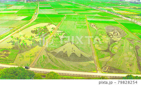 2021田んぼアートin行田 79828254