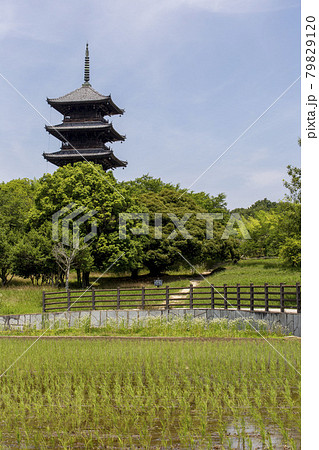 岡山の名所 79829120