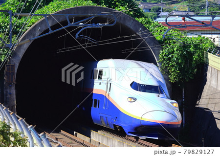 上越新幹線　E4系Max 79829127