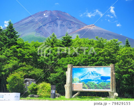 静岡県　夏富士　7月 79829155
