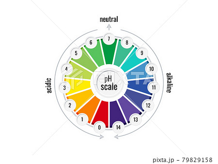 pH value scale chart meter for acid and alkaline solutions isolated on white background. 79829158