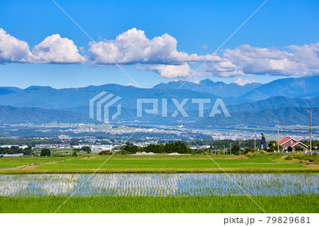 7月半ば（夏）、権兵衛トンネル入り口の数キロ手前から南アルプス方面を望む 長野県伊那市 79829681