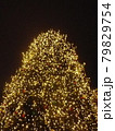 海外の大きなクリスマスツリー 79829754