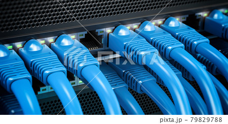 Network LAN internet cables connected in network switches. Server in data center. Network LAN internet cables connected in network switches. Server in data center. 79829788