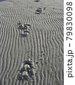 砂浜の馬の足跡 79830098