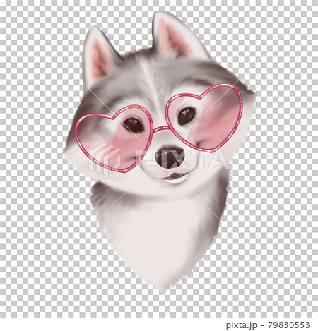 Malamute puppy head portrait. Cute dog in sunglasses. 79830553