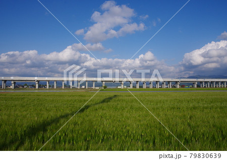 北陸新幹線 延伸工事　福井市南部下莇生田地区　2021年5月 79830639