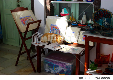 風景にとけこむ猫、サントリーニ島 風景にとけこむ猫、サントリーニ島 79830696