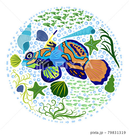 Mandarin fish beautiful character among seashells, seaweed, starfish, Scandinavian style, hand drawn 79831319