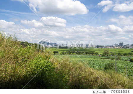 花 ノン 空 79831638