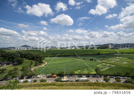 風景 ノン 空 79831656