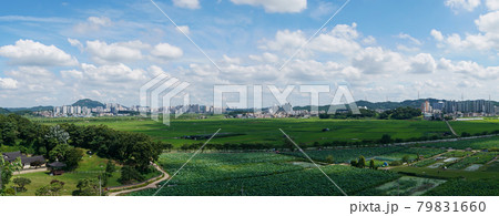 風景 花 ノン 79831660