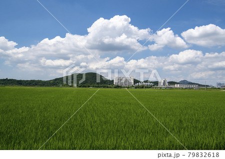 自然 風景 韓国 79832618