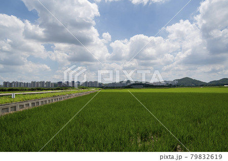 自然 風景 韓国 79832619