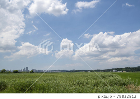 風景 空 雲 79832812