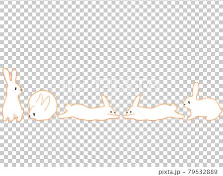 うさぎの可愛いポーズ集 うさぎの可愛いポーズ集 79832889