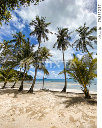 Klong Prao Beach in koh Chang, Trat, Thailand 79835257