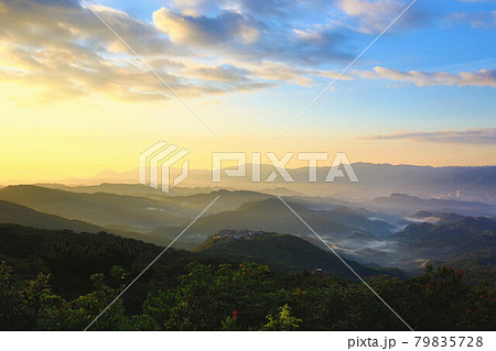 鶏冠 とさか クレスト 79835728