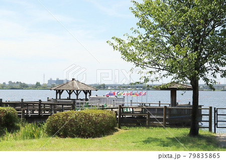 石川木場潟公園 カヌー 東京オリンピック事前キャンプ地(石川県 小松市) 石川木場潟公園 カヌー 東京オリンピック事前キャンプ地(石川県 小松市) 79835865