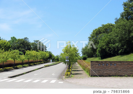石川木場潟公園 中央園地入口（石川県 小松市） 79835866