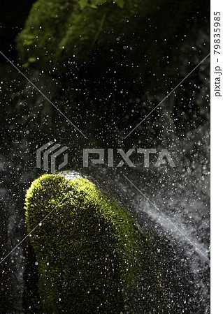 コケ 背景 岩 79835985