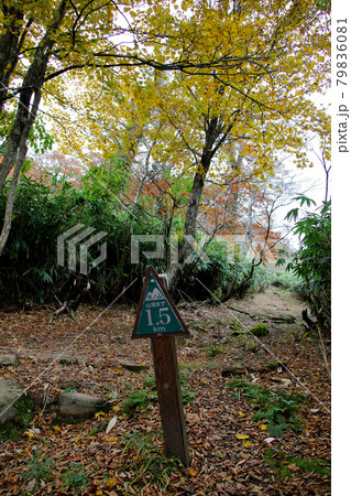 氷ノ山山頂まで1.5kmを示す標識が立つ　前方には黄葉樹　縦位置 79836081