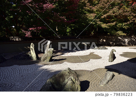 龍吟庵 西庭 龍の庭 龍吟庵 西庭 龍の庭 79836223