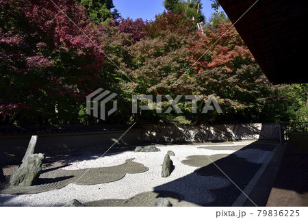 龍吟庵 西庭 龍の庭 龍吟庵 西庭 龍の庭 79836225