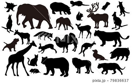 27種類のさまざまな動物のシルエットのイラストセット 79836637