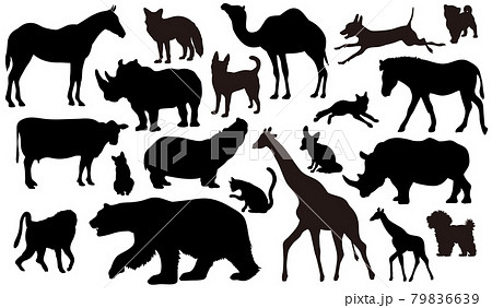 種類のさまざまな動物のシルエットのイラストセットのイラスト素材