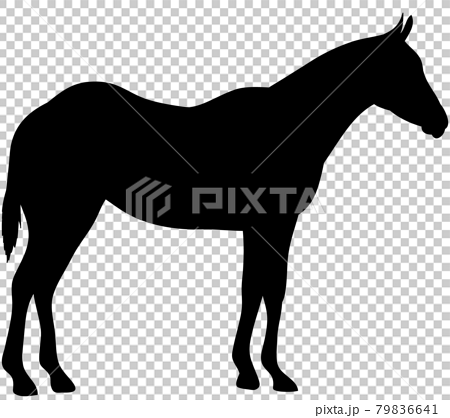 馬のシルエットイラストのイラスト素材
