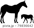 馬の親子のシルエットイラストセット 79836642