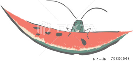 鳥獣略画式 鍬形蕙斎 西瓜と蝗 のイラスト素材