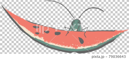 鳥獸素描型 鍬蕙sai 西瓜和蝗蟲 插圖素材 圖庫
