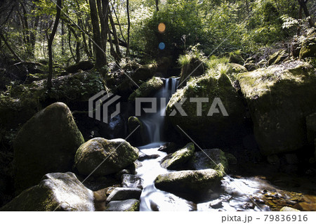 谷 岩 石 79836916