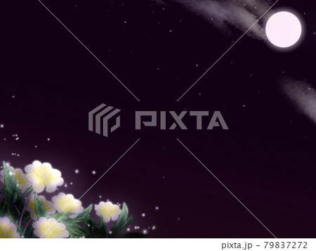 月夜のコマツヨイグサの背景イラスト紫 79837272