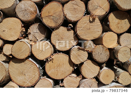 sawn birch firewood stacked sawn birch firewood stacked 79837346