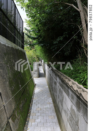 ブロック塀と木々で狭められた裏路地の細い道の写真素材