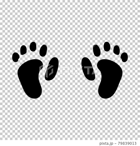 Monkey footprints Monkey footprints 79839013