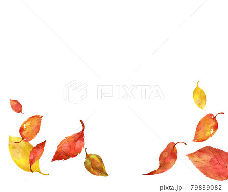 秋 落ち葉 フレーム 水彩 イラストのイラスト素材 7990
