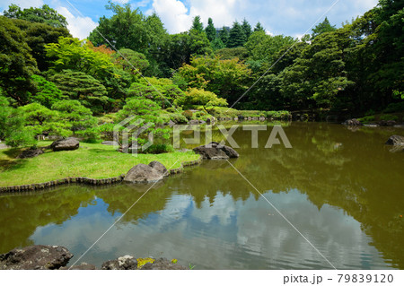 旧古河庭園の池と水面に映える景観 79839120