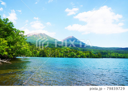 初夏のオンネトー　阿寒富士と雌阿寒岳　北海道 79839729