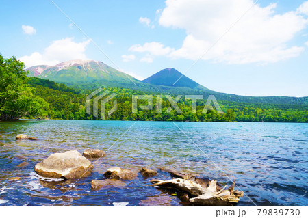 初夏のオンネトー　阿寒富士と雌阿寒岳　北海道 79839730