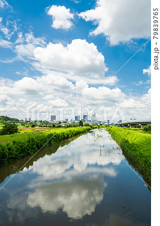 「埼玉県」見沼田んぼの夏 「埼玉県」見沼田んぼの夏 79839765