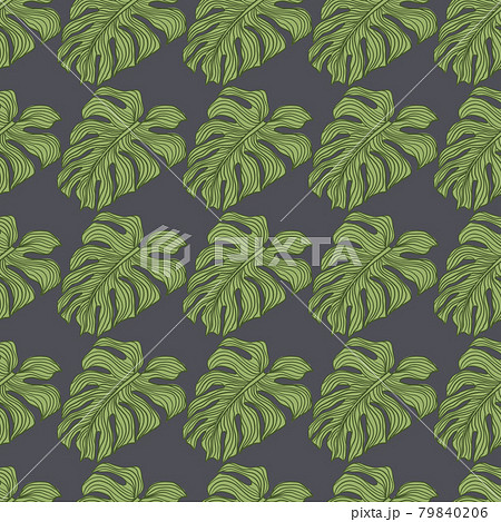Philodendron HD wallpaper | Pxfuel