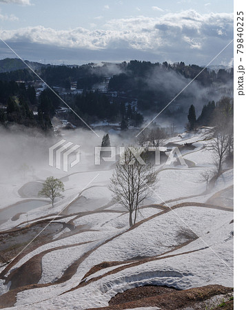 新潟・十日町・残雪と霧の蒲生の棚田 新潟・十日町・残雪と霧の蒲生の棚田 79840225